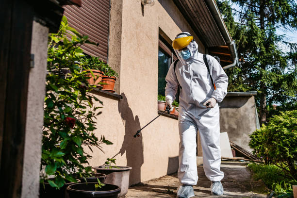 Best Spider Control Near Me  in Fairfax, MN