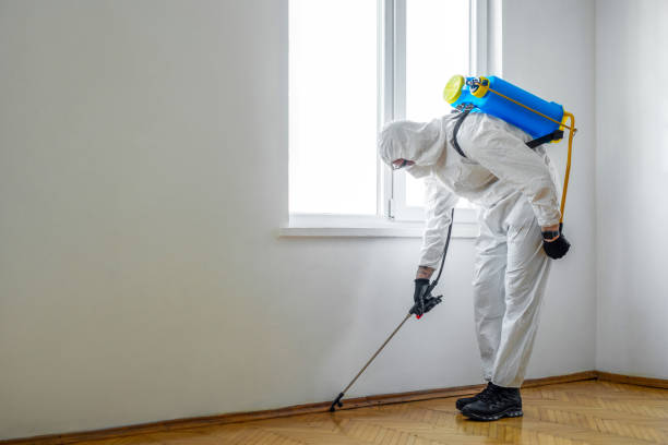 Best Commercial Pest Control Services  in Fairfax, MN