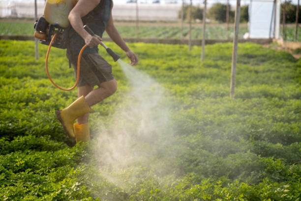 Best Residential Pest Control  in Fairfax, MN