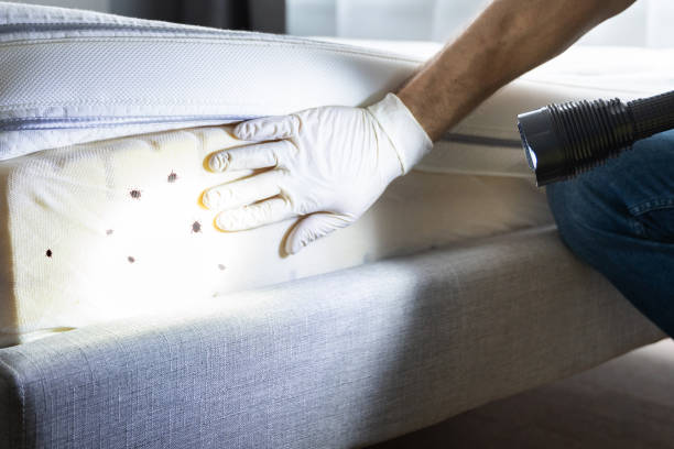 Fairfax, MN Pest Control Company